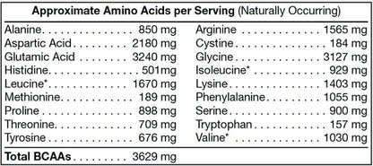 Pure Plant Protein - Chocolate